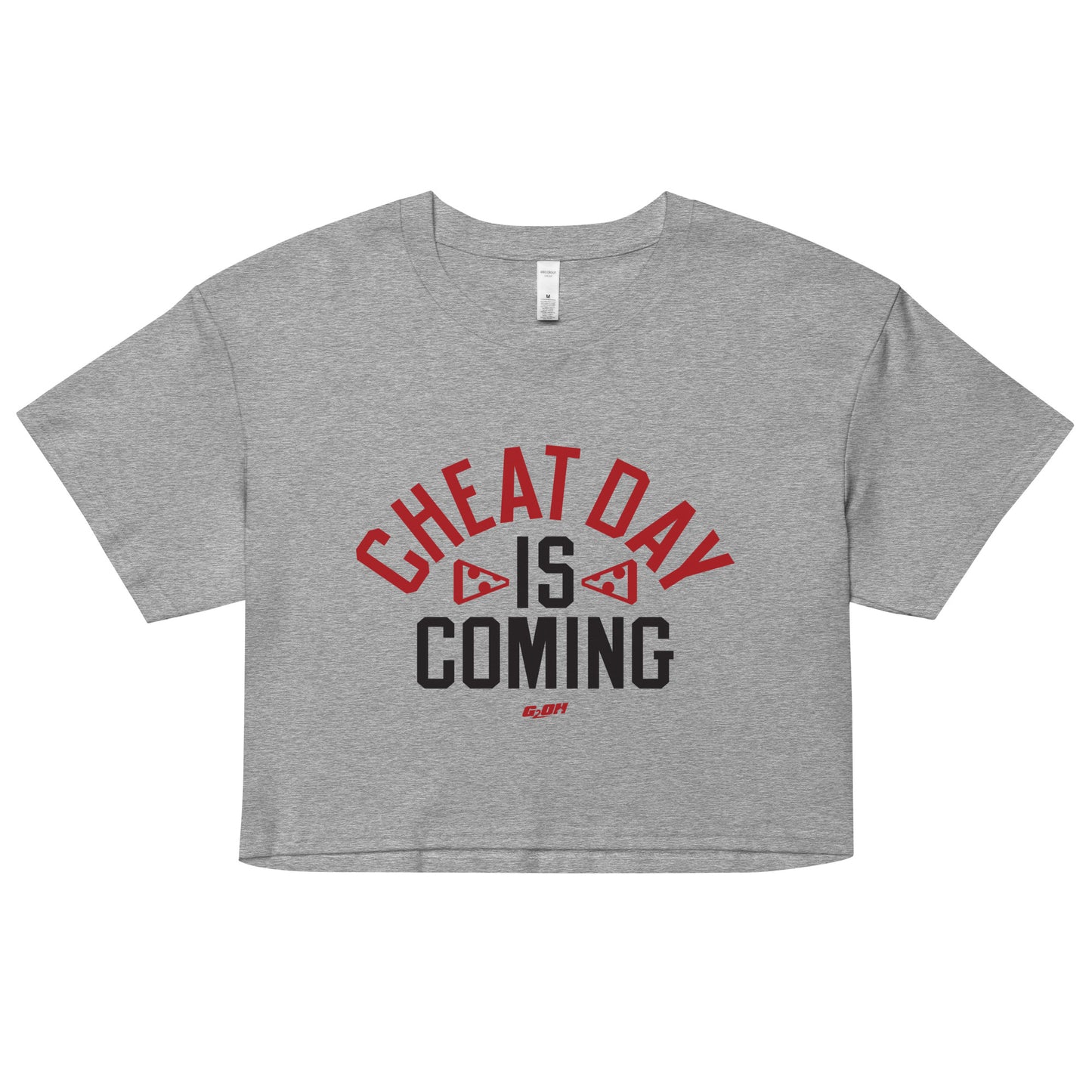 Cheat Day Is Coming Women's Crop Tee