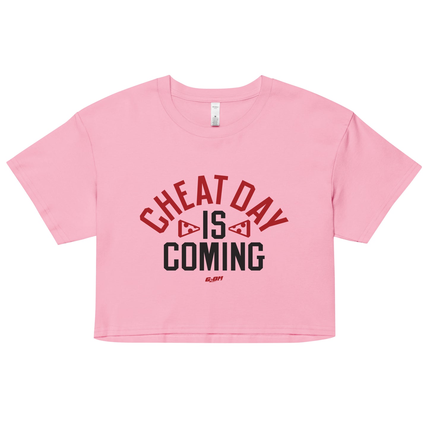 Cheat Day Is Coming Women's Crop Tee