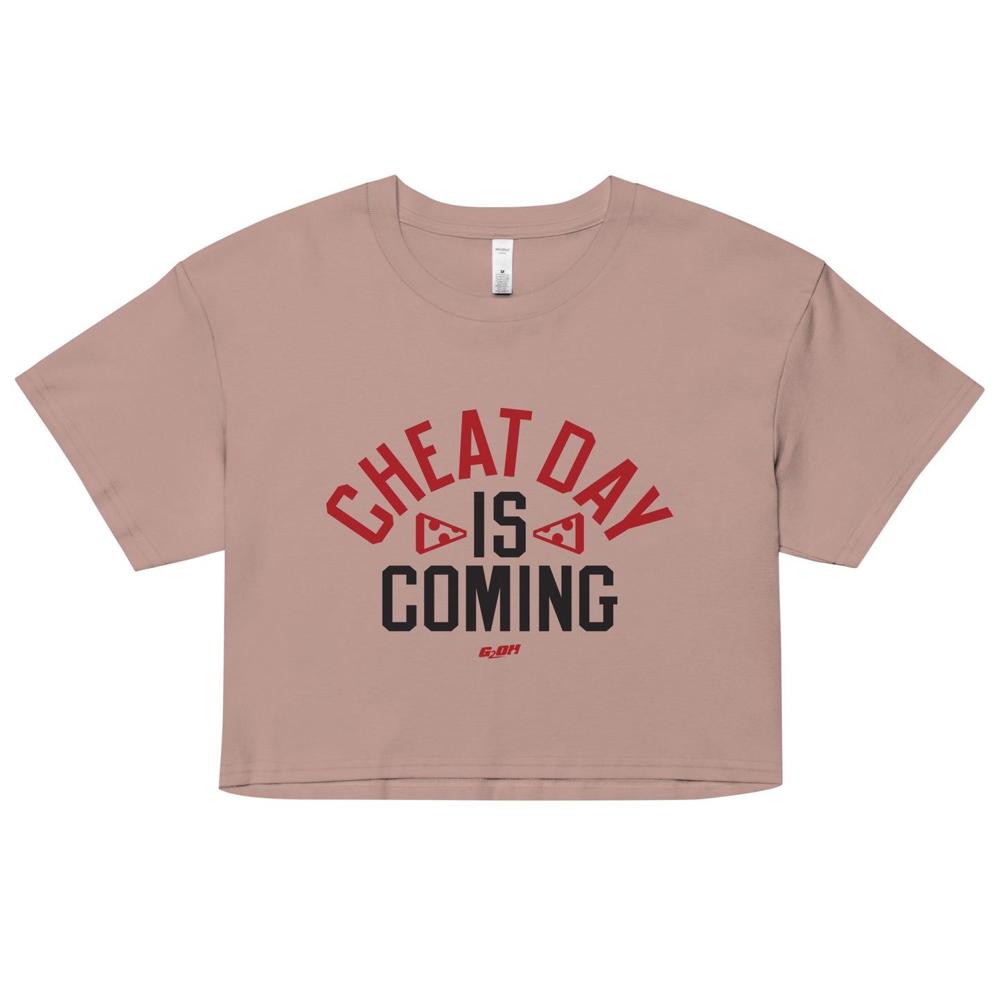 Cheat Day Is Coming Women's Crop Tee