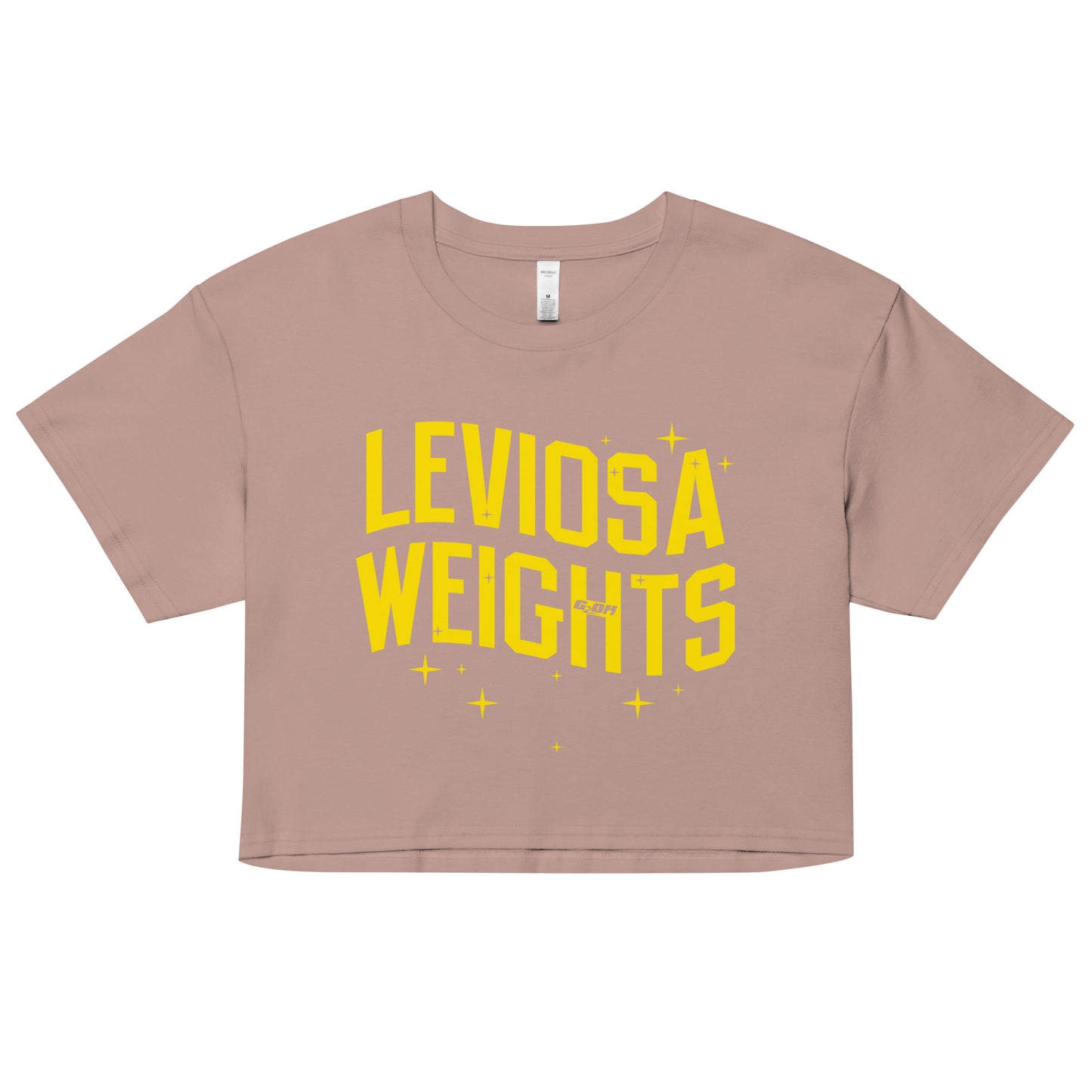 Leviosa Weights Women's Crop Tee