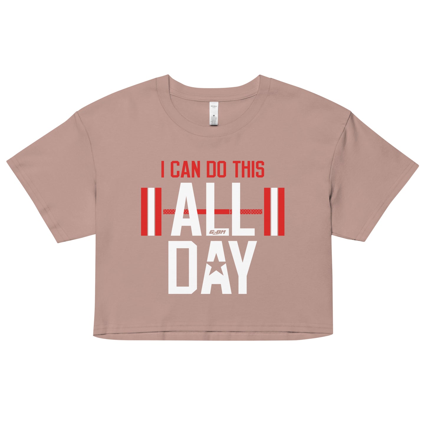 I Can Do This All Day Women's Crop Tee