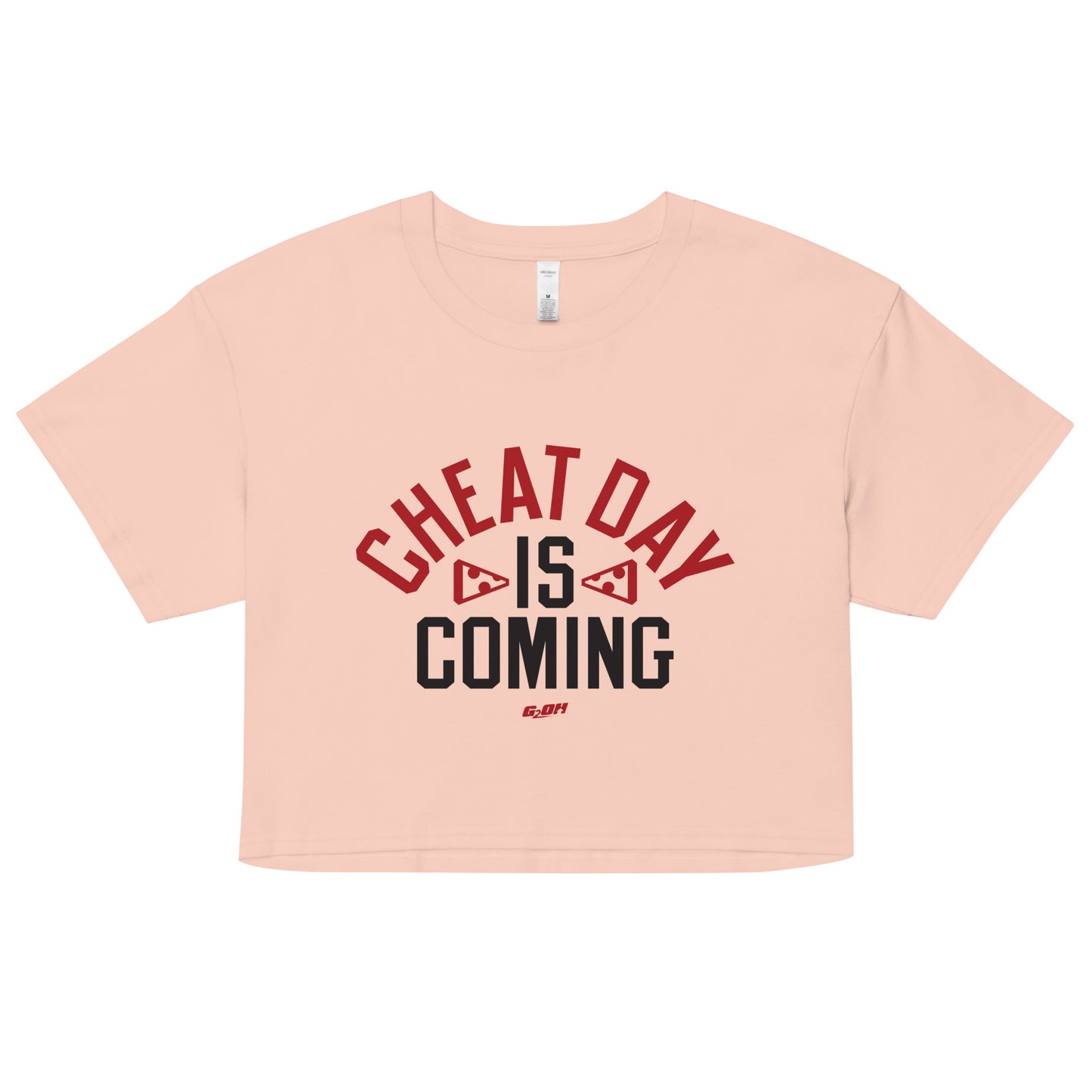 Cheat Day Is Coming Women's Crop Tee