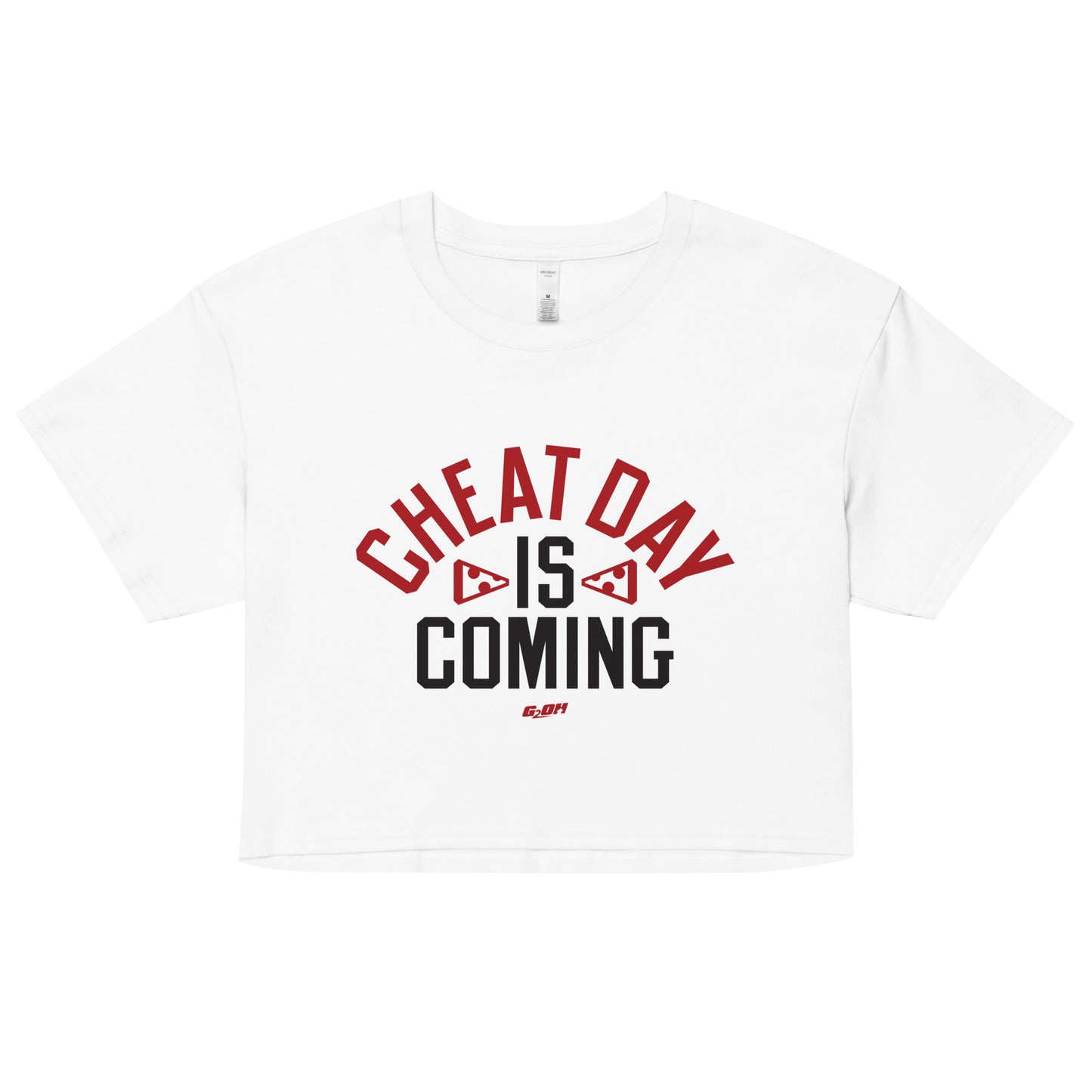 Cheat Day Is Coming Women's Crop Tee